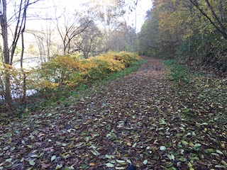 Montani semper liberi