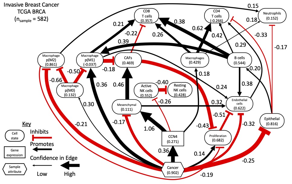 FAQ for Rule-based modeling of cell-level networks in&nbsp;immune-oncology